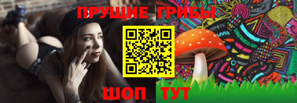 Новокуйбышевск  Галлюциногенные грибы Magic Shrooms  цены наркотик  Вход с VPN 
